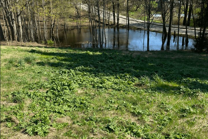 ignalina-min