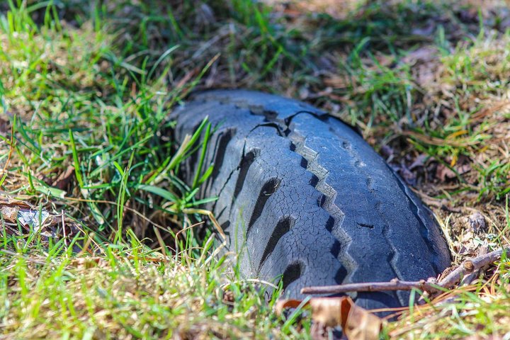 grass-4979114_1280